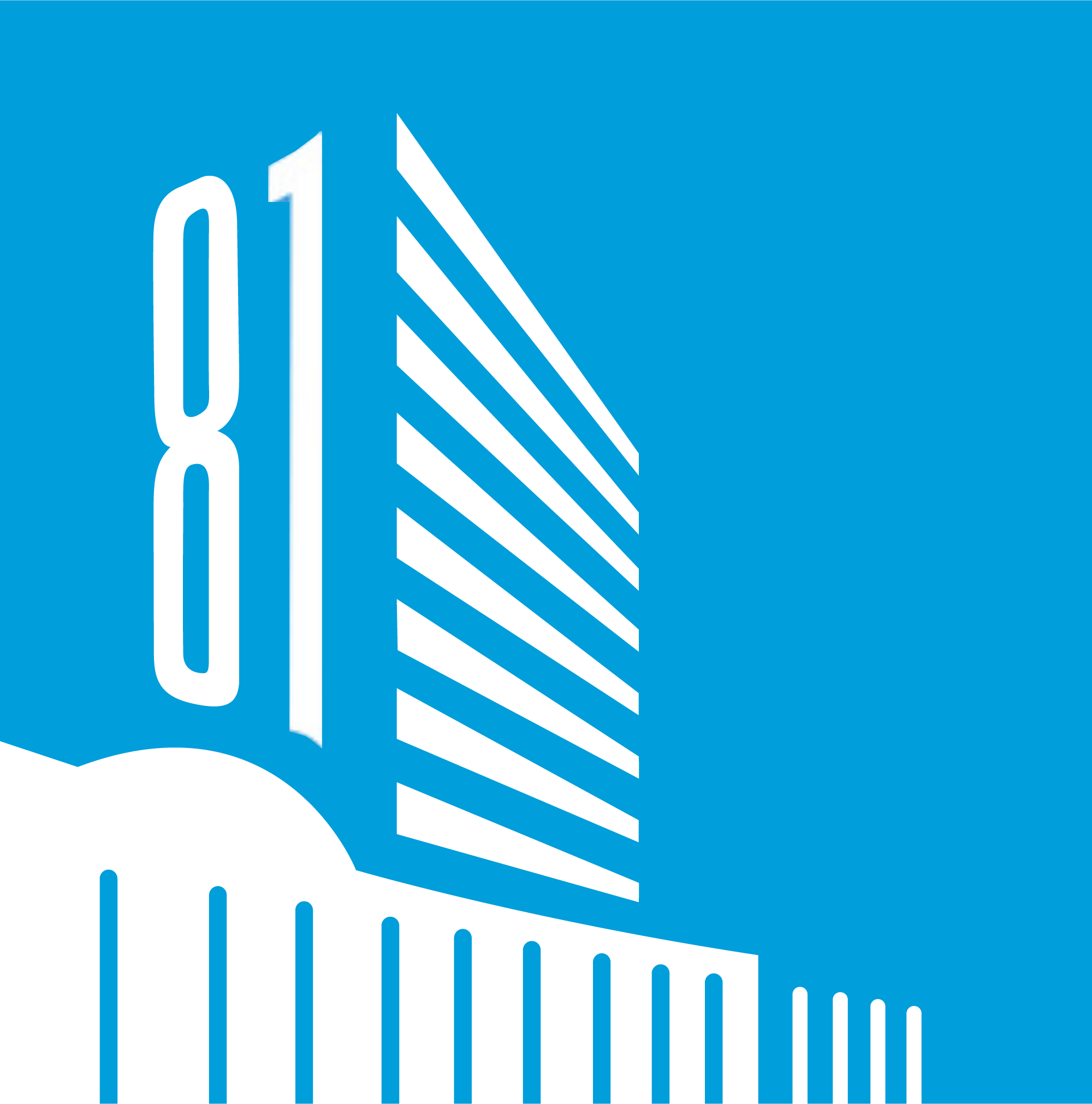 UNGA 81